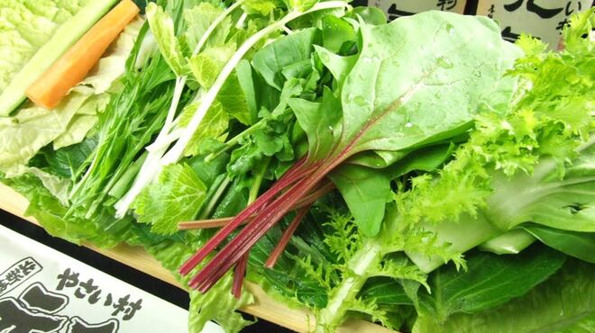 やさい村 元気 - メイン写真: