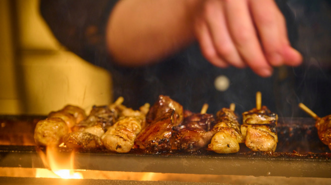 渋谷っ子居酒屋 とりとん - メイン写真: