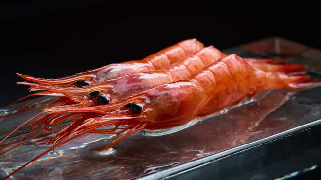 織田 - メイン写真: