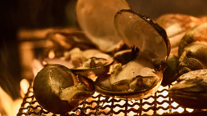 織田 - メイン写真: