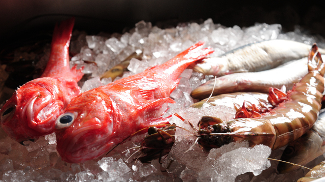 魚秀 - メイン写真: