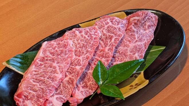 地鶏の里 永楽荘 - 料理写真: