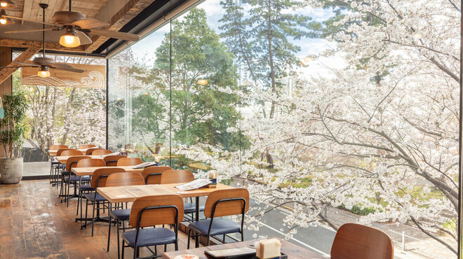 アロハテーブル - メイン写真: