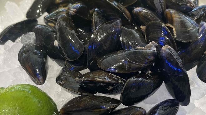 5108 MUSSEL&GIN ALSO - メイン写真: