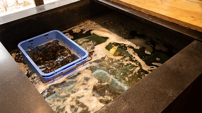 5108 MUSSEL&GIN ALSO - メイン写真: