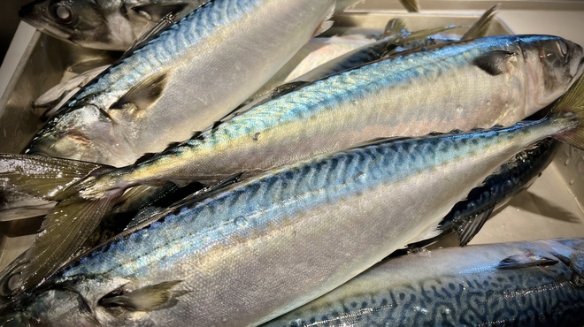 北陸海鮮 金沢おでん 海力 - メイン写真: