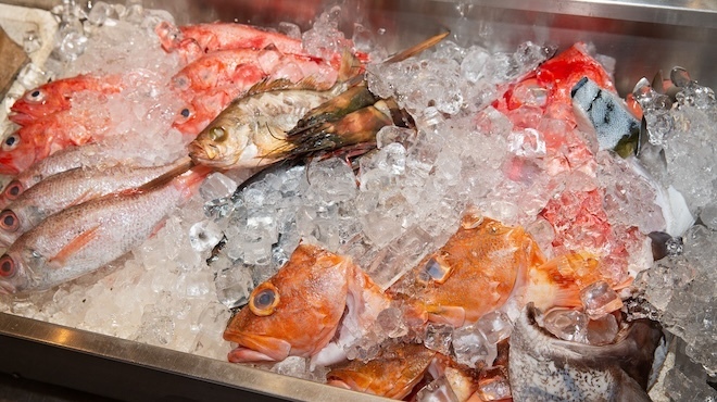 魚秀 - メイン写真: