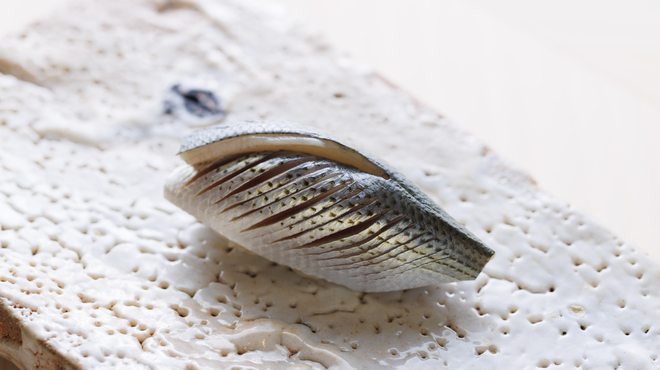 鮨 野儀 - メイン写真: