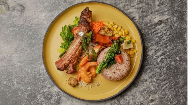 MOLNODA - メイン写真: