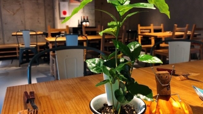 MEAT BAR GIRASOL - メイン写真: