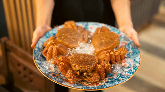 D-DRAGON - メイン写真: