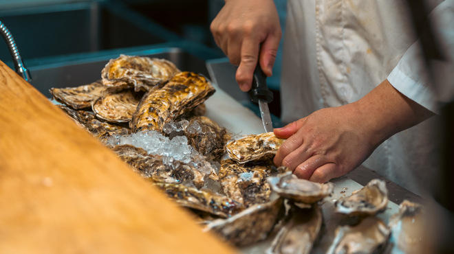 D-DRAGON - メイン写真: