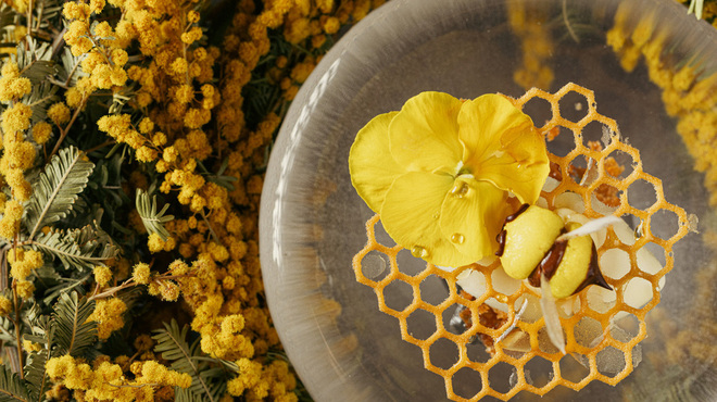 タケル クインディチ(LOQUAT) - 料理写真:
