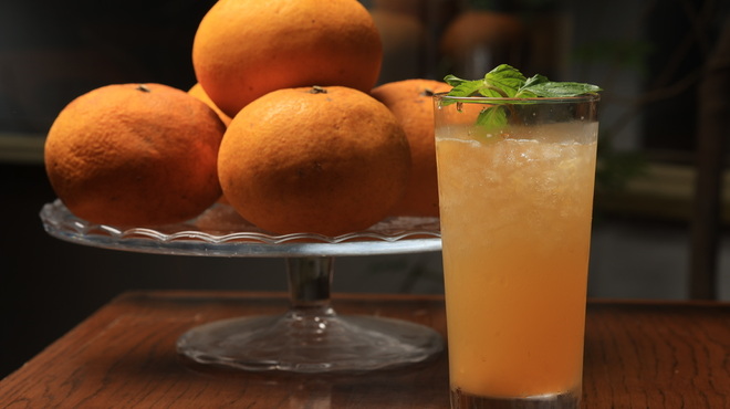 サンクスネイチャー - メイン写真: