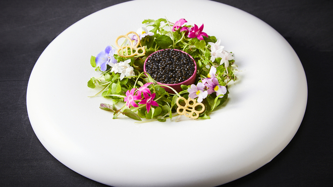 Mitsu8 - メイン写真: