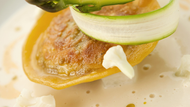 イグレック ベガ - メイン写真: