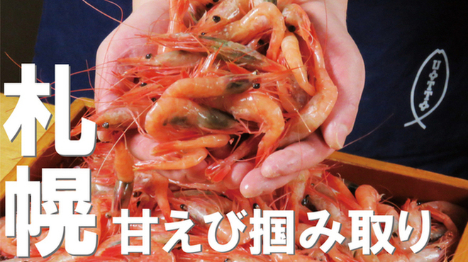 北海道 海鮮居酒屋 魚人  - メイン写真: