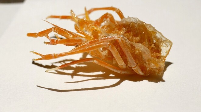 天若 - 料理写真: