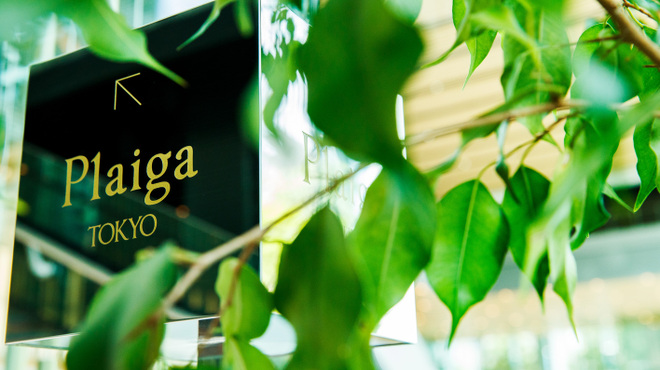 Plaiga TOKYO - メイン写真: