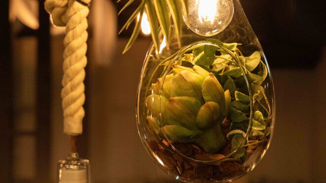 シーシャ カフェ＆ピザ C.STAND - メイン写真: