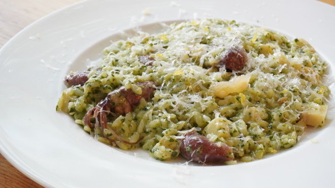 Sakura - メイン写真: