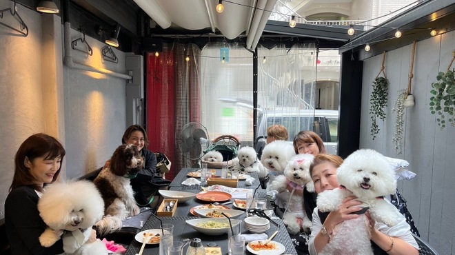 ピッツァ テラス レガーレ - メイン写真: