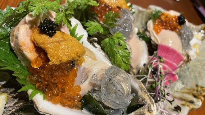 D-DRAGON - メイン写真: