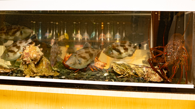 魚楽唐唐 - メイン写真: