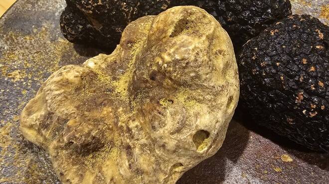 代官山 韻 - メイン写真: