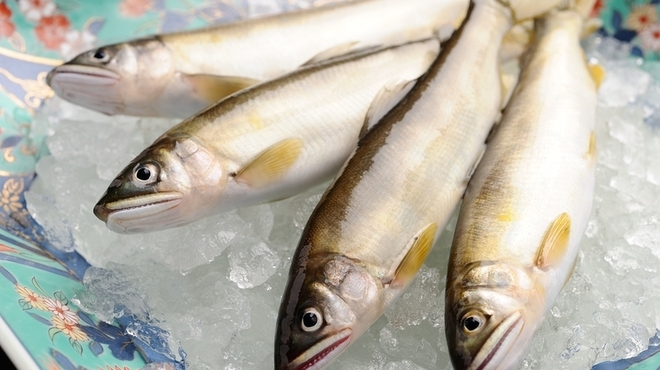 喜助 - 料理写真:徳島産天然あゆ