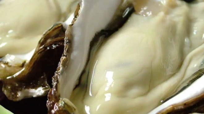 旬のおごちどころ たまや - メイン写真: