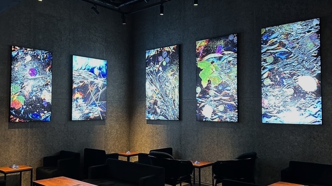 anonymous art cafe & bar - メイン写真: