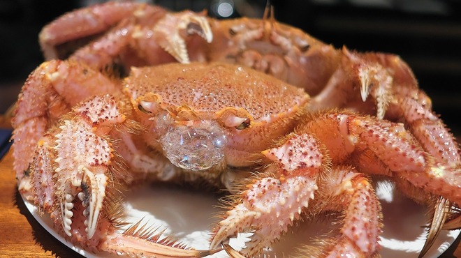 蒼 - 料理写真:毛ガニも泡吹いてお迎えします。