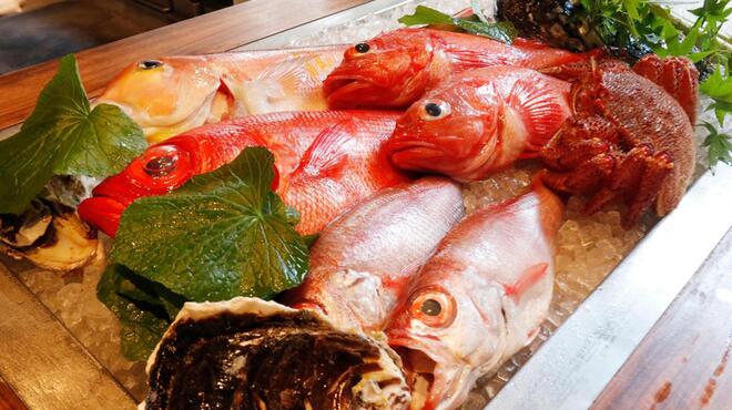 博多ほたる - メイン写真: