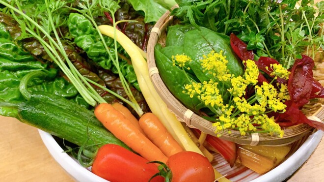 かごのめ - メイン写真: