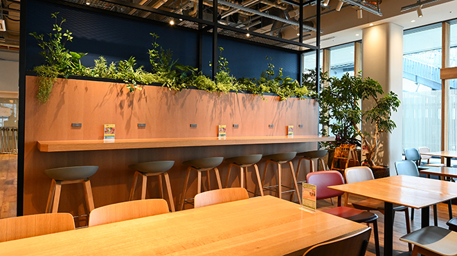 角川食堂 - メイン写真: