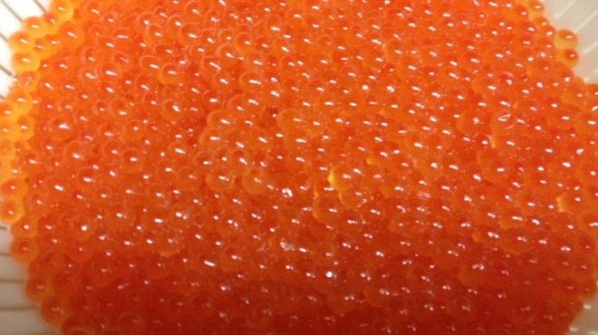 寿し処 今 - メイン写真: