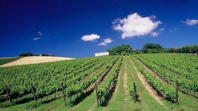 ビラビアンキ - メイン写真: