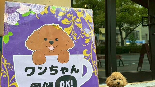 #icafe - メイン写真:
