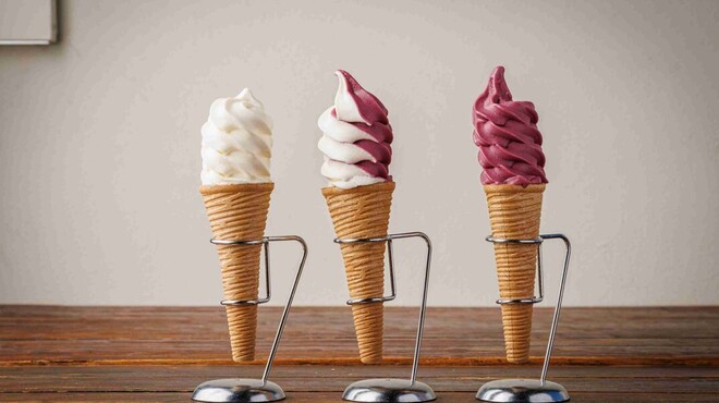 44APARTMENT - メイン写真: