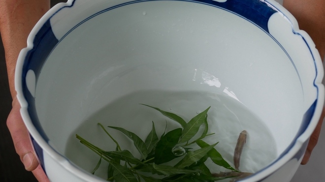 八雲茶寮 - 料理写真:
