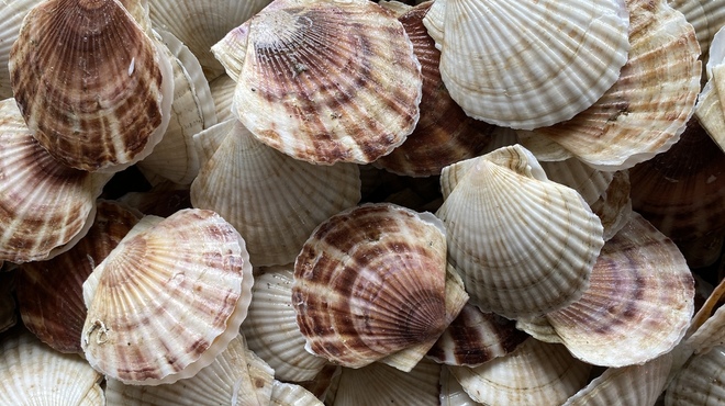 SOUP STAR - メイン写真: