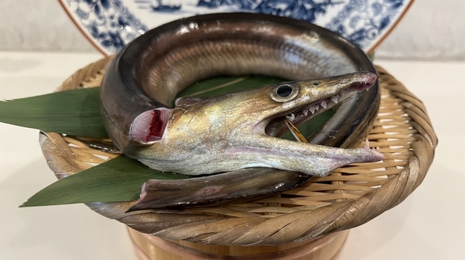 室町 美はま - 料理写真: