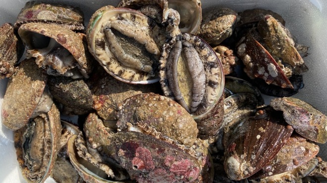 とくさん - メイン写真: