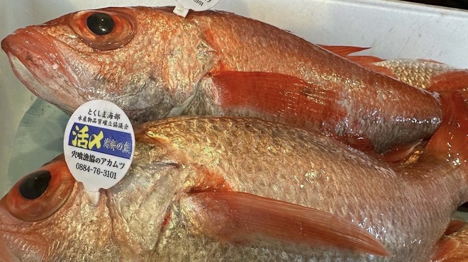 とくさん - メイン写真: