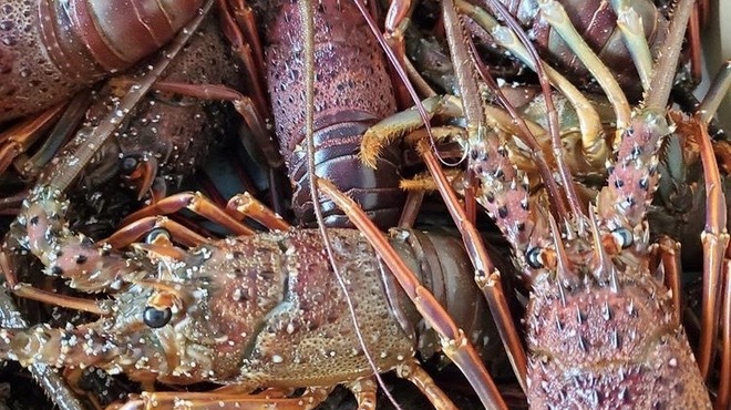 とくさん - メイン写真: