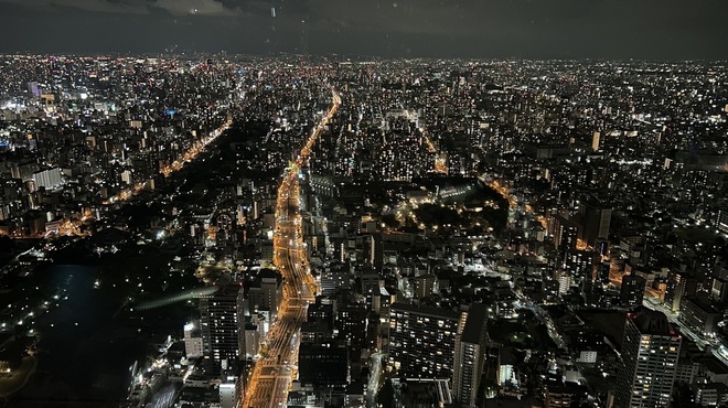 SKY GARDEN 300 - メイン写真: