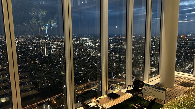 SKY GARDEN 300 - メイン写真: