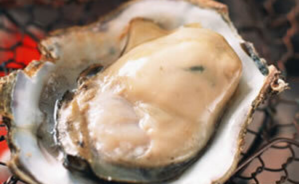 炭焼き牛タン酒場　ウシカイ - メイン写真: