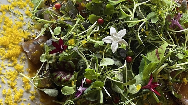 ヴィノーブル - メイン写真: